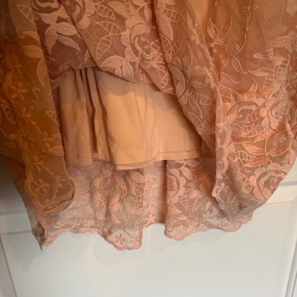 SUNDANCE Love Always Midi Dress Size 4 Lace Sheer Embroidered Line Blush - Picture 2 of 7